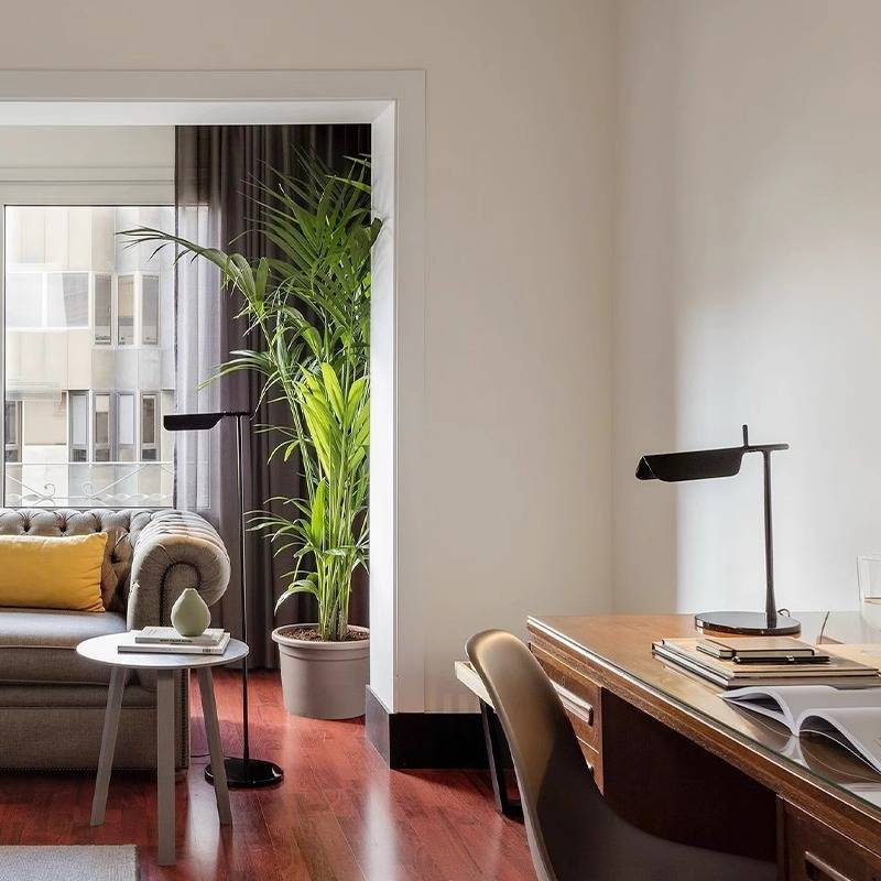 A modern living room features a cozy sofa with yellow pillows, adjacent to a wooden desk showcasing the Simple Desktop Lamp and books. A large potted plant adds greenery. Minimalist elements like floor-length curtains frame a window, offering city views on polished wood floors.